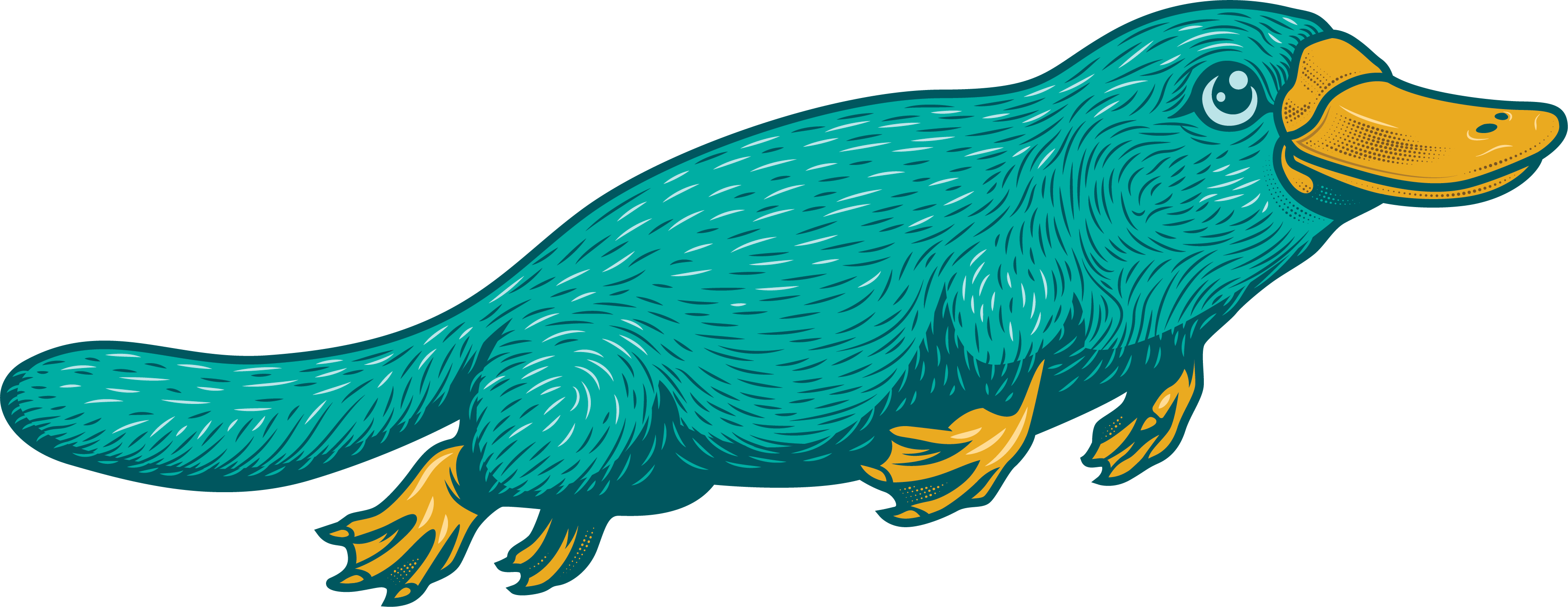 Platypus Economics